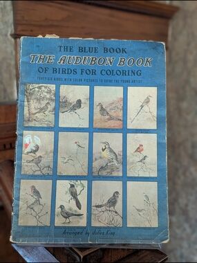 Antique 1938 Blue Book Audubon's Birds Coloring Book Julius King Whitman Racine